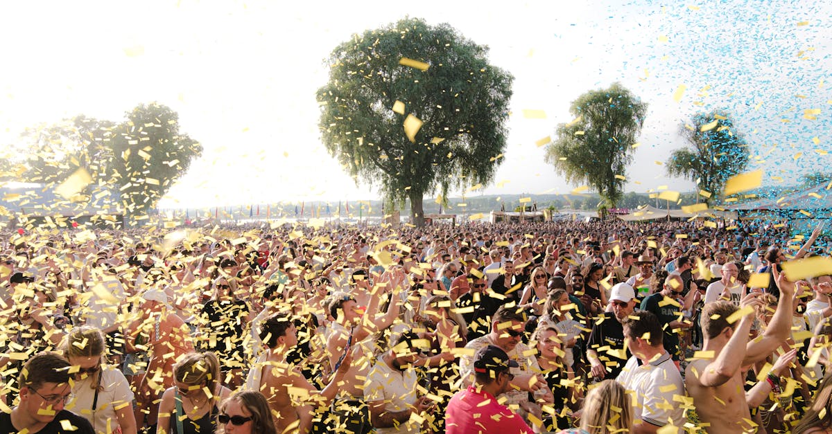 dj festival crowd